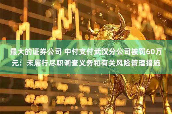 最大的证券公司 中付支付武汉分公司被罚60万元：未履行尽职调查义务和有关风险管理措施